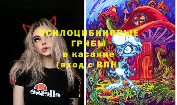 PSILOCYBIN Алексеевка