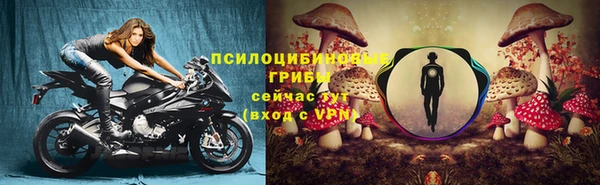 PSILOCYBIN Алексеевка